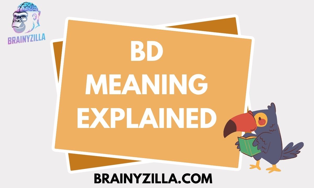 BD Meaning Explained: Texting, Slang & Social Media Usage (2026 Guide)