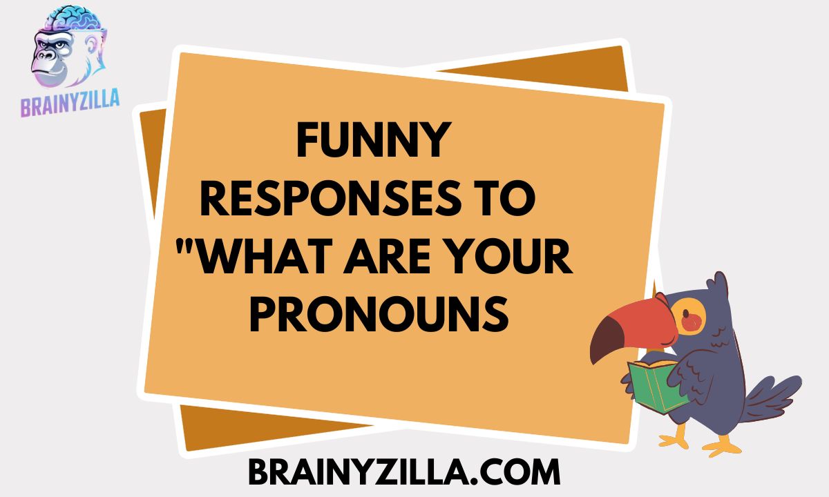 Funny Responses to "What Are Your Pronouns?" | Witty, Clever & Hilarious Pronoun Jokes