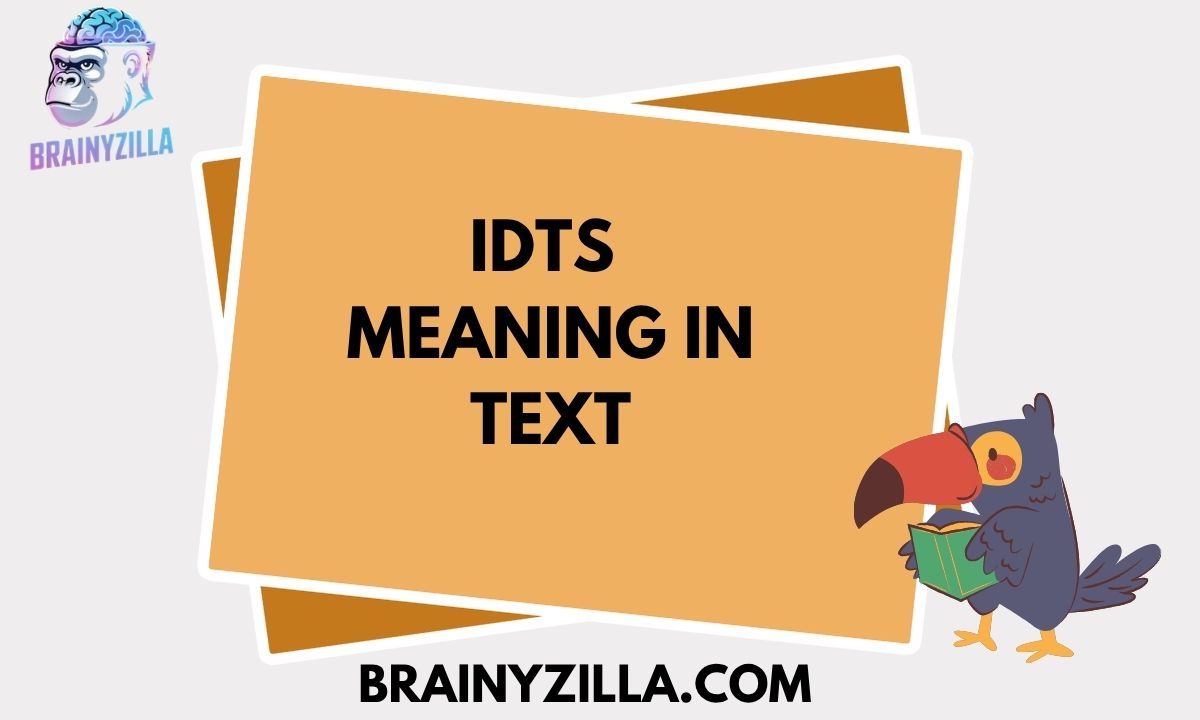 IDTS Meaning in Text: What It Really Means, Usage, Examples, and How to Respond in 2026