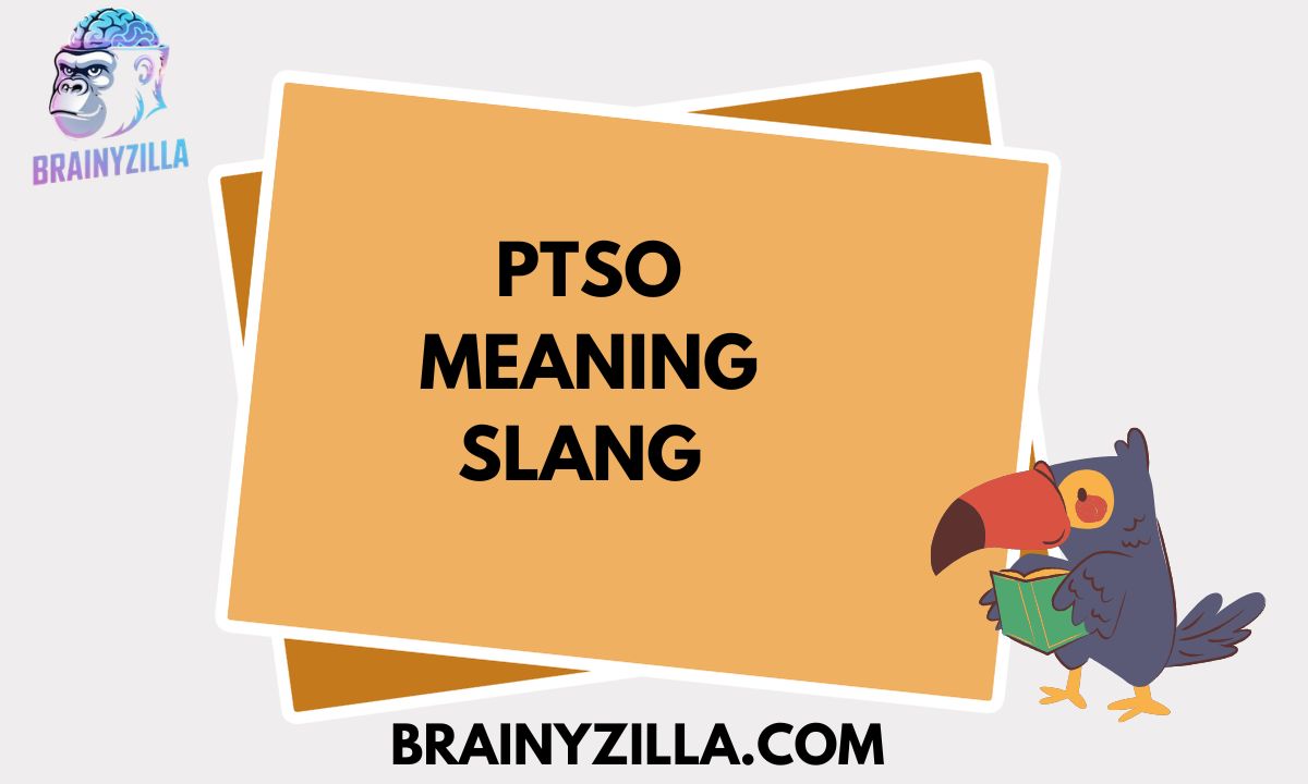 PTSO Meaning Slang | What PTSO Really Means in Text, TikTok & Social Media
