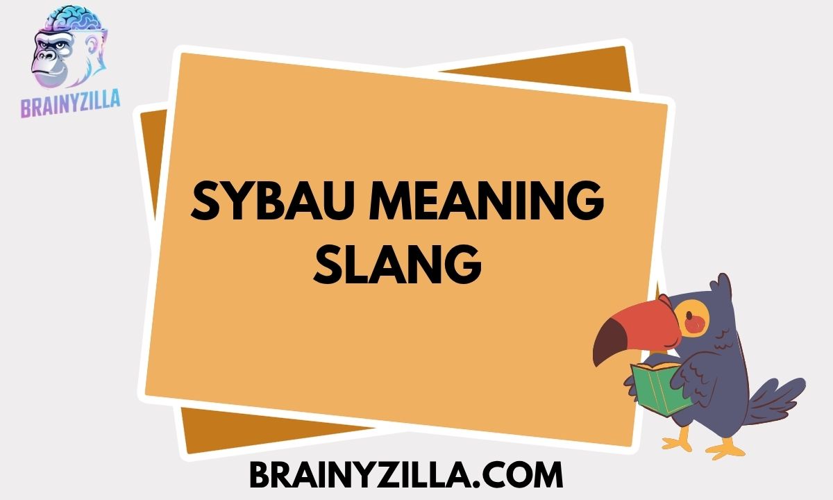 Sybau Meaning Slang