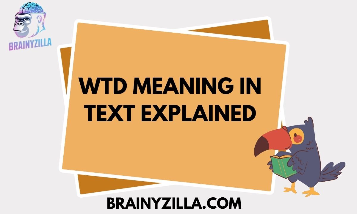 WTD Meaning in Text Explained Simply With Examples and Usage in 2026