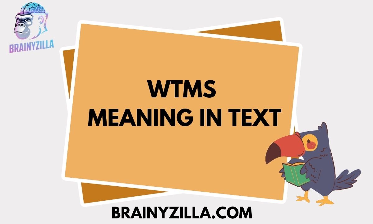 WTMS Meaning in Text: Definition, Usage & Examples (2026 Guide)