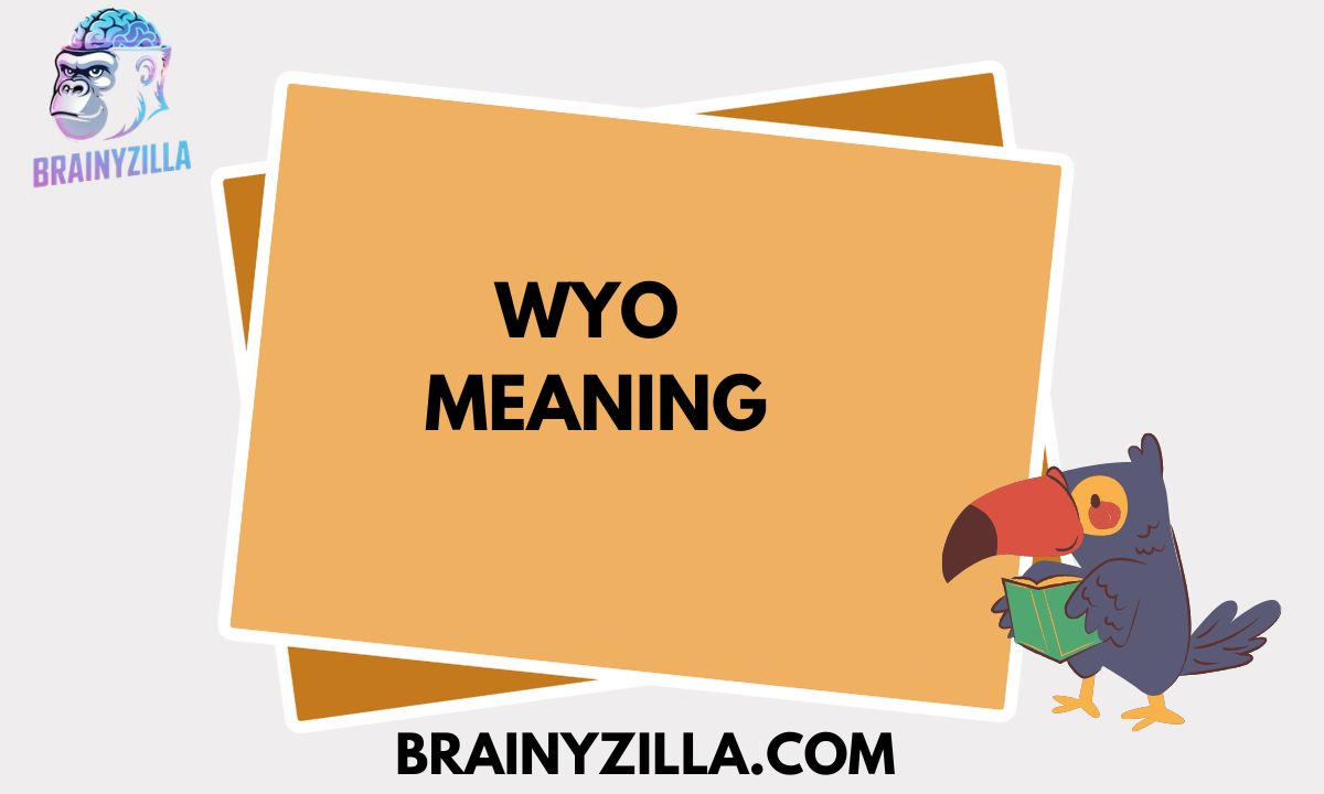 WYO Meaning: What Does WYO Mean in Texting & Social Media?