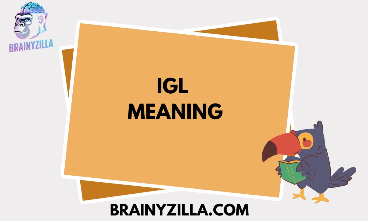 IGL Meaning – Definition, Usage, and Examples in Text & Online