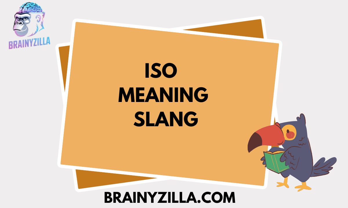 ISO Meaning Slang: What Does ISO Mean in Text, Social Media & Online Chats?